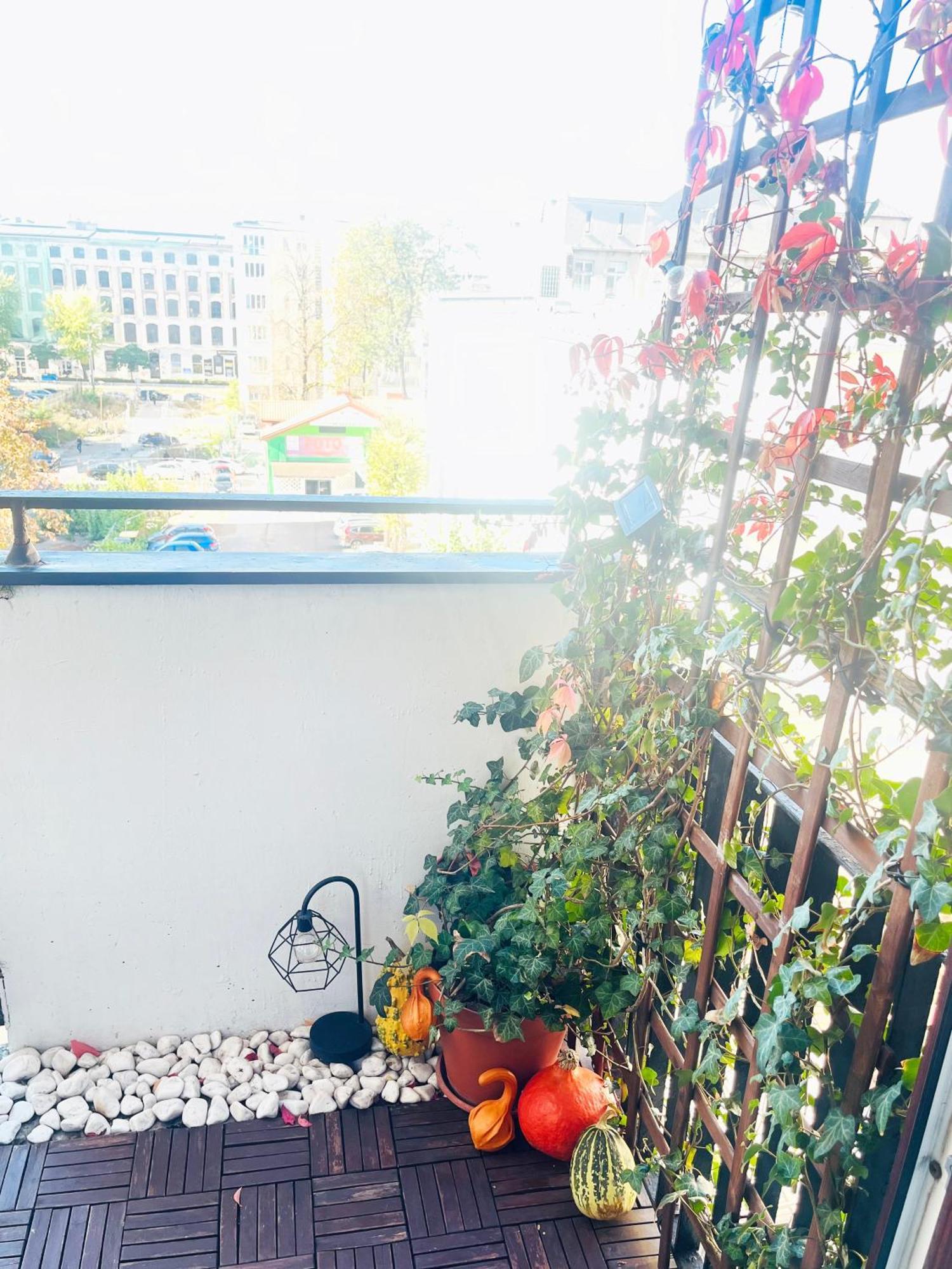 Apartament I Love Piotrkowska Z Wielkim Lustrem, Balkonem I Klimatyzacja Łódź Eksteriør bilde